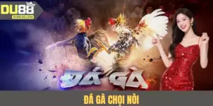 Đá Gà Chọi Nòi - Chiến Thuật Tối Ưu Để Gà Phát Huy Sức Mạnh