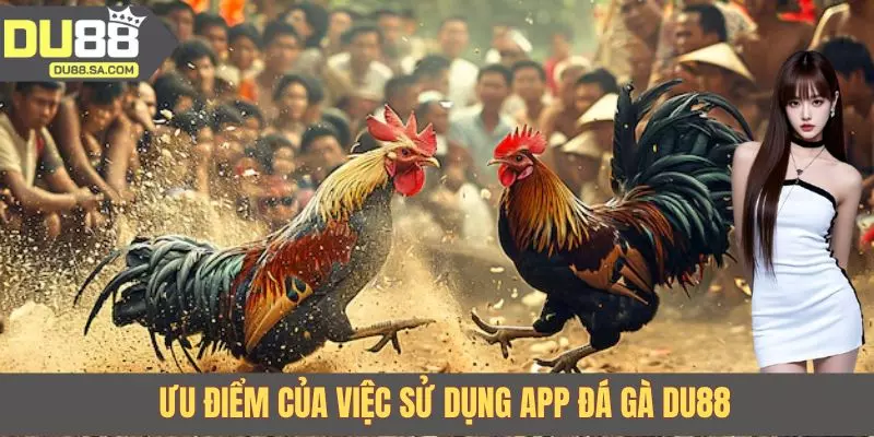 Ưu điểm của việc sử dụng app đá gà DU88